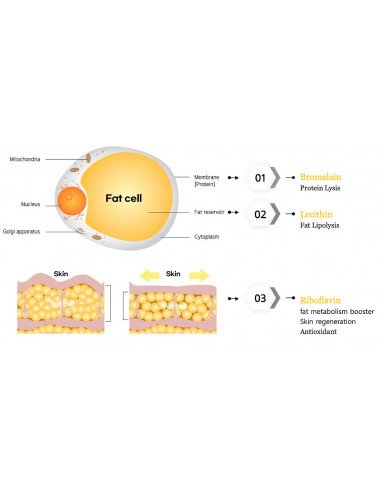 Lemon Bottle 5 x 10ml